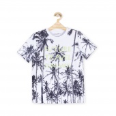 Футболка для мальчиков BASIC BOY Coccodrillo