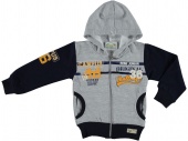 Толстовка серая для мальчиков Babexi