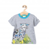 Футболка для мальчиков JUNGLE EXPLORER Coccodrillo