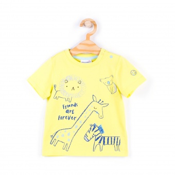 Футболка для мальчиков MELLOW MOOD Coccodrillo