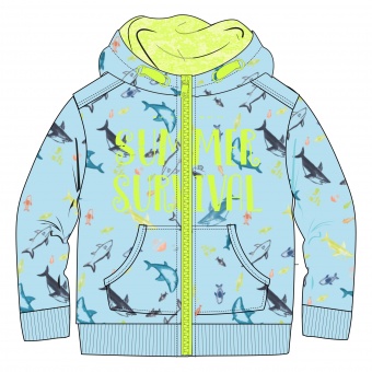 Толстовка для мальчиков SUMMER SURVIVAL Coccodrillo