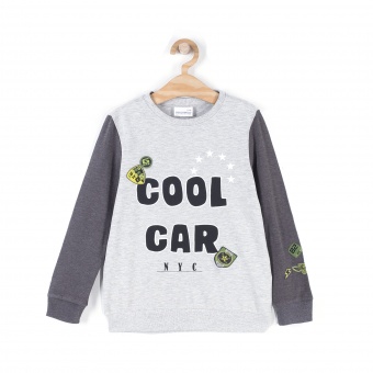 Свитшот для мальчиков CAR Coccodrillo