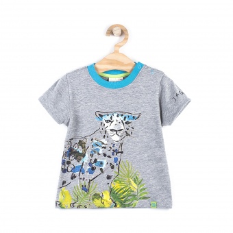 Футболка для мальчиков JUNGLE EXPLORER Coccodrillo