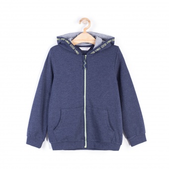 Толстовка для мальчиков BASIC BOY Coccodrillo