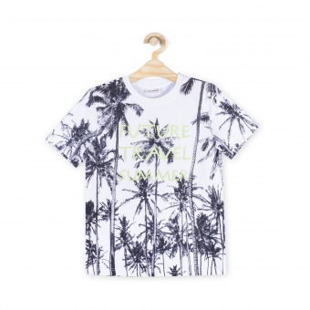 Футболка для мальчиков BASIC BOY Coccodrillo