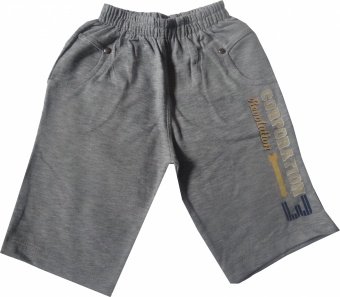 Бриджи серые для мальчиков Babexi