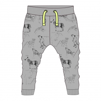 Брюки для мальчиков JUNGLE EXPLORER Coccodrillo