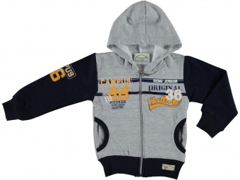 Толстовка серая для мальчиков Babexi