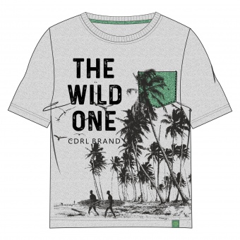 Футболка для мальчиков WILD ONE Coccodrillo