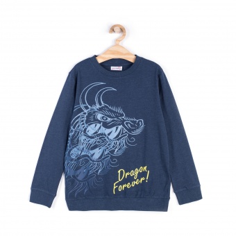 Свитшот для мальчиков JAPAN FOREVER Coccodrillo